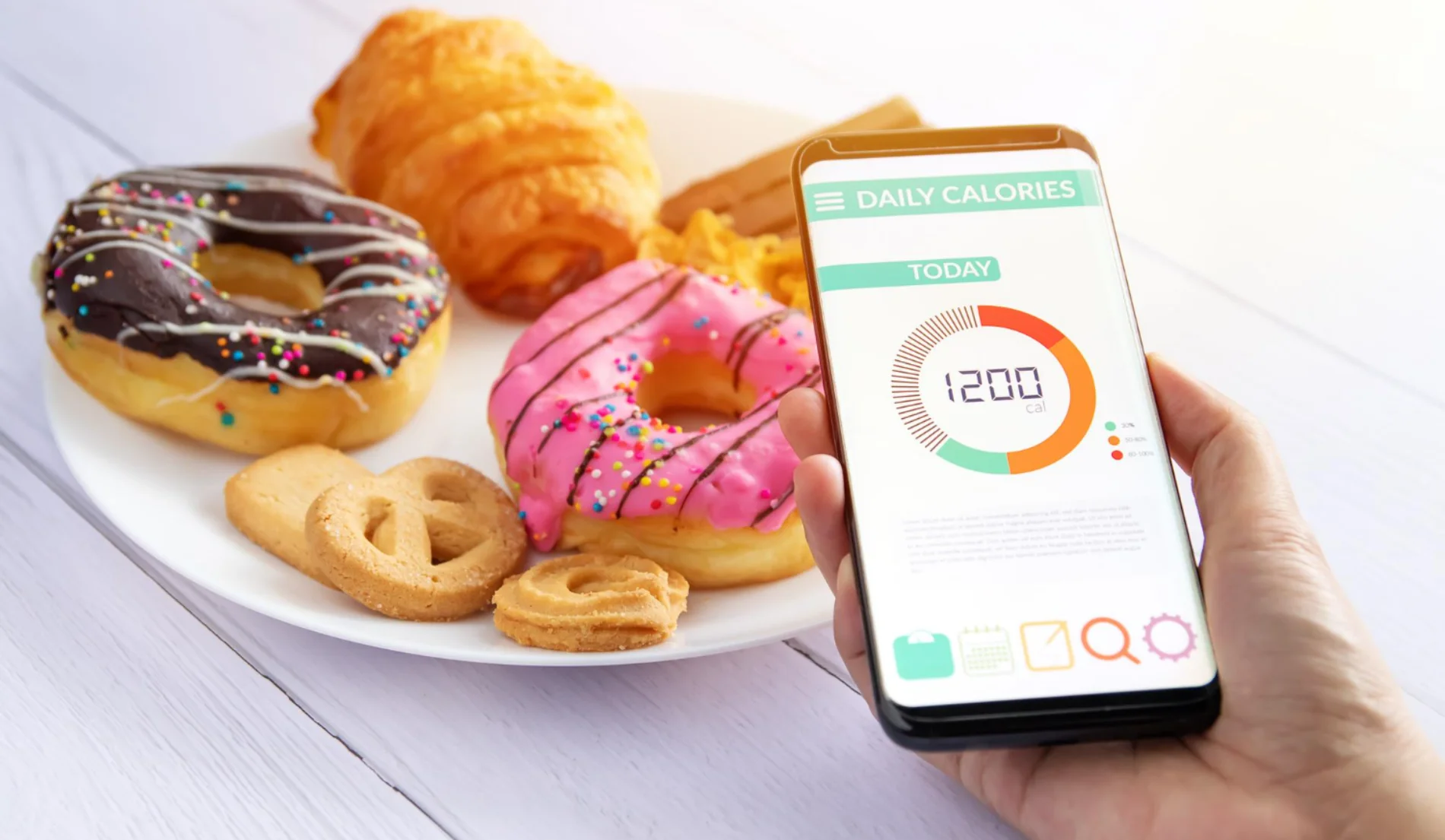 program diet efektif cico