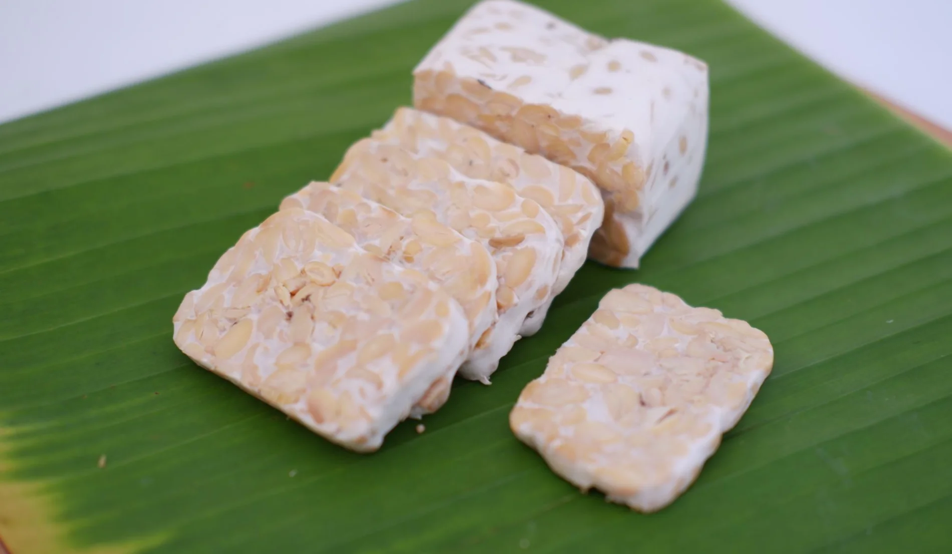 Sumber Protein Terbaik