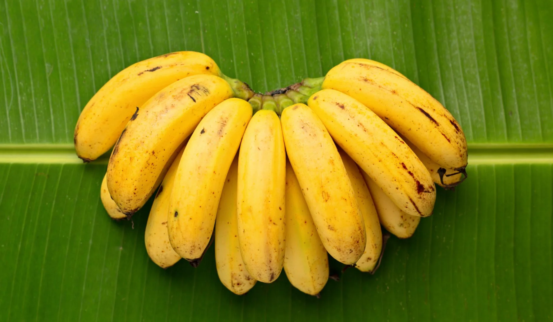 tips hemat cemilan diet